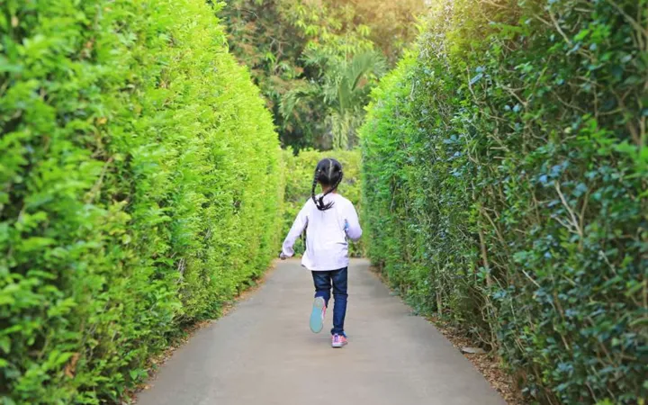 Garden Maze