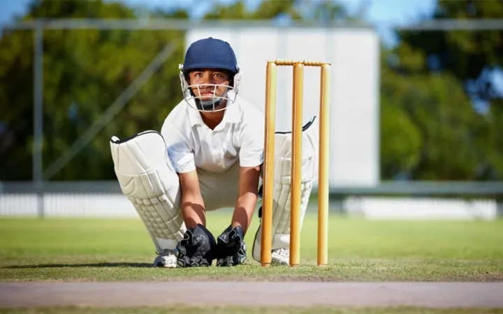 Cricket